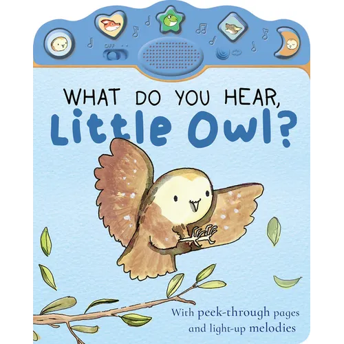 What Do You Hear, Little Owl?: Peek-Through with Sound and Light