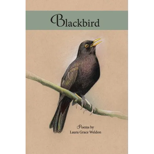 Blackbird: poems