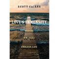 Love's Immensity: Mystics on the Endless Life