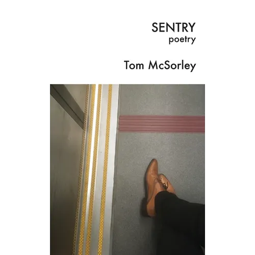 Sentry: poetry