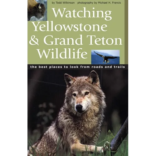 Watching Yellowstone & Grand Teton Wildlife
