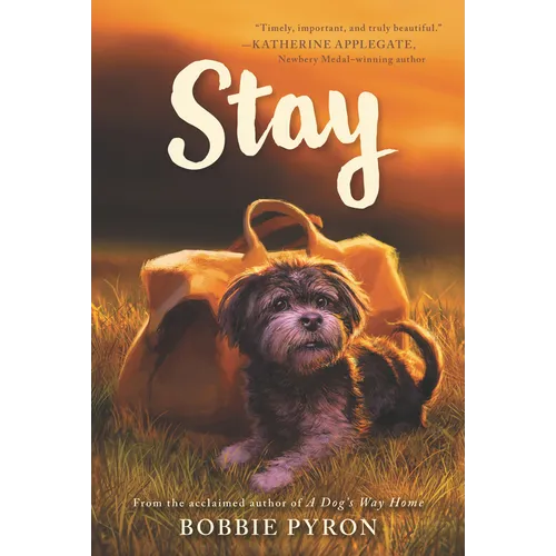 Stay