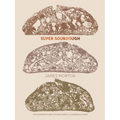 Super Sourdough: The Foolproof Guide to Making World-Class Bread at Home