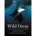 Wild Orcas: A Deep Dive Into the World of Killer Whales