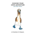 Choose Your Own Adventure and Other Poems