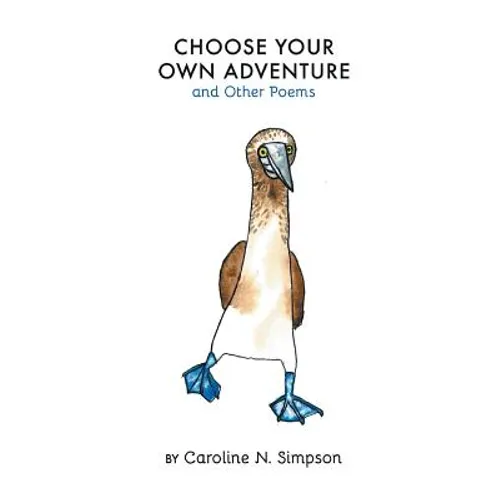 Choose Your Own Adventure and Other Poems