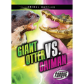 Giant Otter vs. Caiman