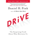Drive: The Surprising Truth about What Motivates Us