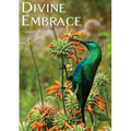 DIVINE EMBRACE New, 30 Chapter, 458page Revised Edition
