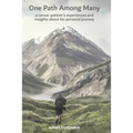 One Path Among Many: a cancer patient's experiences and insights about his personal journey