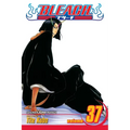 Bleach, Vol. 37: Beauty Is So Solitary