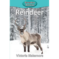 Reindeer