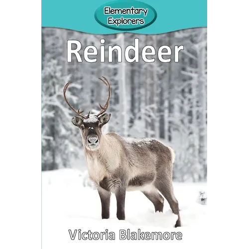 Reindeer