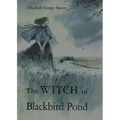 The Witch of Blackbird Pond: A Newbery Award Winner
