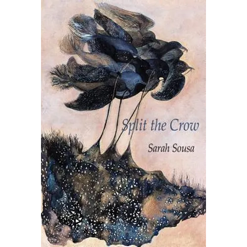 Split the Crow