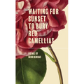 Waiting for Sunset to Bury Red Camellias