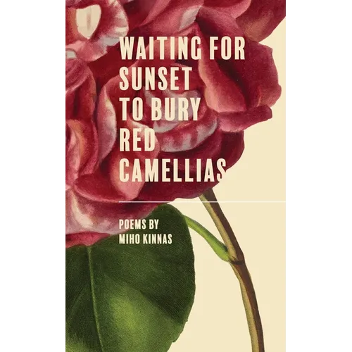 Waiting for Sunset to Bury Red Camellias