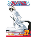 Bleach, Vol. 22: Conquistadores