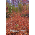 Suddenly Deciduous