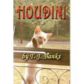 Houdini