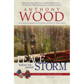 Peace Before the Second Storm: A Story of the Civil War