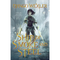 Ship of Smoke and Steel: The Wells of Sorcery, Book One