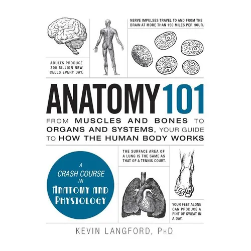 Anatomy 101: From Muscles and Bones to Organs and Systems, Your Guide to How the Human Body Works