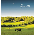 GUEST BOOK for Guest House, Airbnb, Bed & Breakfast, Vacation Home, Retreat Centre: HARDCOVER Visitors Book, Guest Comments Book, Vacation Home Guest