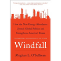 Windfall: How the New Energy Abundance Upends Global Politics and Strengthens America's Power