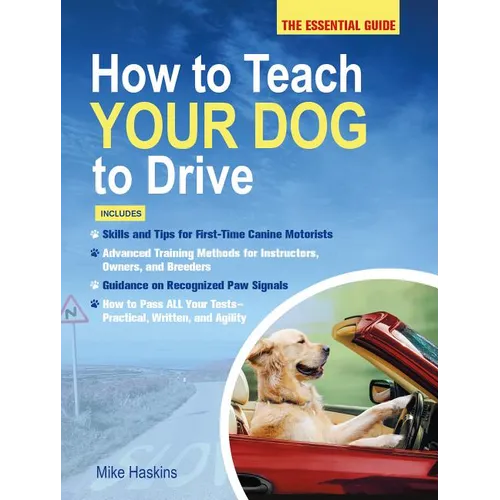 How to Teach Your Dog to Drive: The Essential Guide