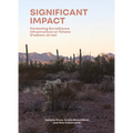 Significant Impact: Assessing Surveillance Infrastructures on Tohono O'Odham Je'ved
