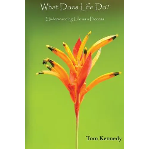 What Does Life Do?: Understanding Life as a Process