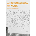 An Epistemology of Noise