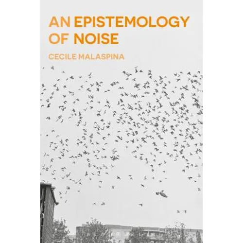 An Epistemology of Noise