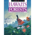 Discover Hawaii's Natural Forests