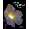 What the Bees See: A Honeybee's Eye View of the World