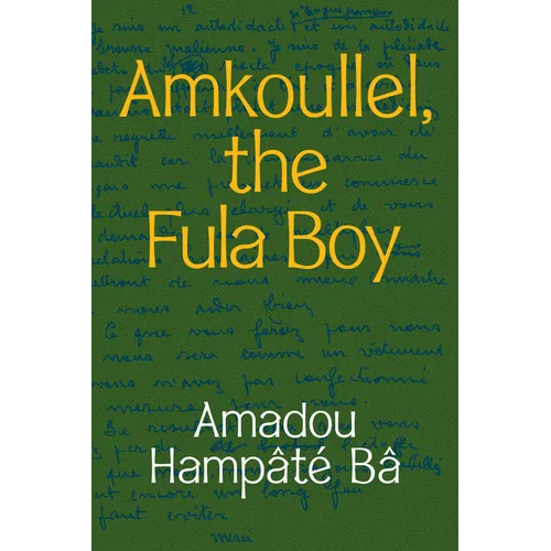 Amkoullel, the Fula Boy