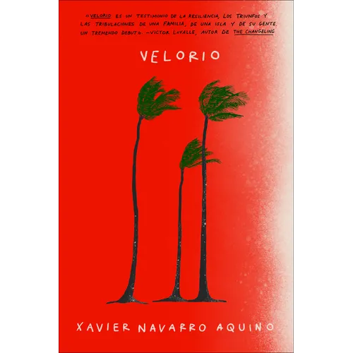 Velorio