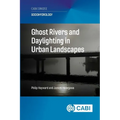 Ghost Rivers and Daylighting in Urban Landscapes