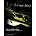 Irish Session Tunes (For Dulcimer), Volume 1