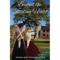 Beyond the Bleeding Heart: A Tale of the American Civil War