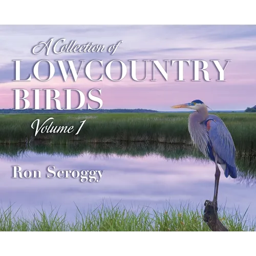A Collection of Lowcountry Birds