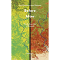 Before & After: The Architecture of Disaster
