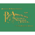 Pan-American Buffalo and Niagara Falls: A Picturesque Souvenir