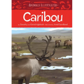 Animals Illustrated: Caribou