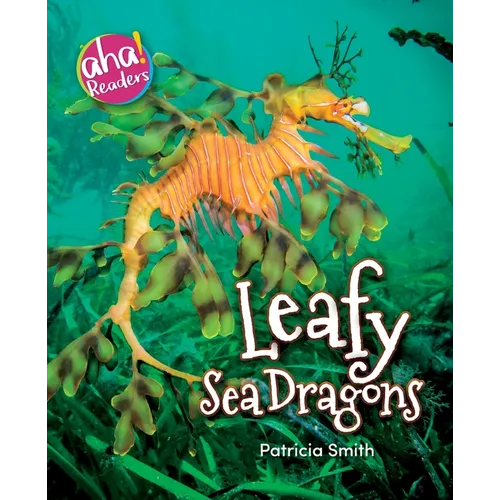 Leafy Sea Dragons