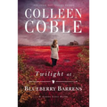 Twilight at Blueberry Barrens