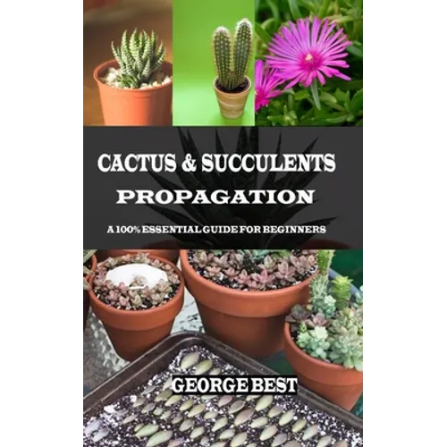 Cactus & Succulents Propagation: A 100% Essential Guide for Beginners