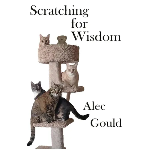 Scratching for Wisdom