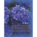 My Family Tree & Genealogy Charts